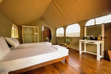 Wild Glamping