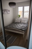 Apartament F&J