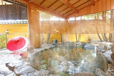 Ooedo Onsen Monogatari Awara