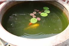 Pingyao Jia Xin Guest House