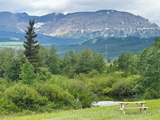 Glacier Grizzly Resort - Glamping