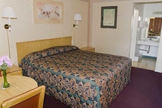 Motel 8 Willcox