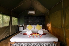 Khaosok Boutique Camps