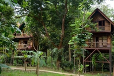 Our Jungle Camp - Eco Resort