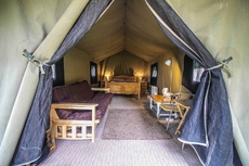 Pinewood Camping Pods - At Port Lympne Reserve