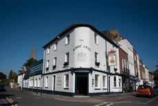 The Albert Arms