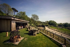 Treehouse Hotel - At Port Lympne Reserve