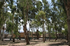 Batuca Village & Camping