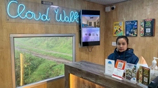 Dolphin Nose Retreat