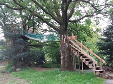 Cabane Dans Les Arbres - Le Nid Dans Le Chene