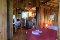 Cabane dans les Arbres - Tree House