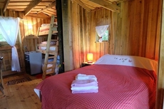 Cabane dans les Arbres - Tree House