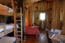 Cabane dans les Arbres - Tree House