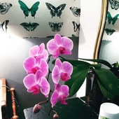 La Guiniere Chambres D'hotes