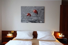 Hotel Klosterbraustuben