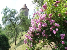 Weingut Gastehaus Weigand