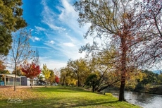 Discovery Parks - Mount Buffalo