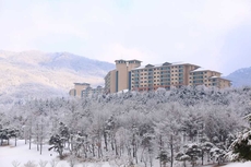 Oak Valley Resort