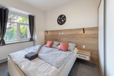 Apartsee Wellness Plzen