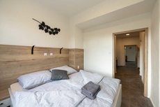 Apartsee Wellness Plzen