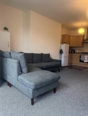 Comfortable City Centre Apartment in Sunderland