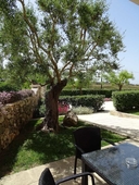 Masseria Bandino & Spa