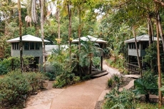 Ferntree Rainforest Hotel