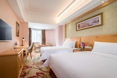 Vienna Hotel (Huidong and Run Pedestrian Street)