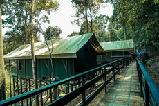 Wild Planet Jungle Resort