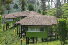 Wild Planet Jungle Resort