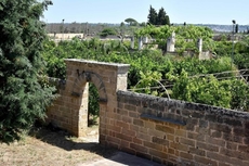 Agriturismo Santa Chiara