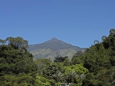 Kaliandra Sejati Eco Resort