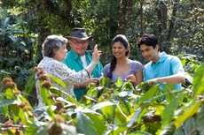 Club Mahindra Madikeri, Coorg