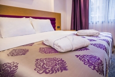 Golden Inn Hotel Uzungol