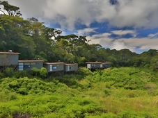 Rainforest Eco Lodge