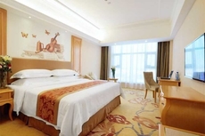 Vienna Hotel (Xinning Langshan)