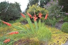 Landidyll Hotel Nudelbacher