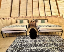 Yellowstone Tipis