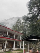 Woodward Magique kasol