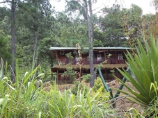 Hewaheta Hideaway