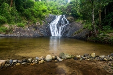 Dangau Tokwan