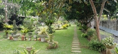 BF Farm Silang Property