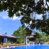 Balai Angelica - Nature Farm & Resort