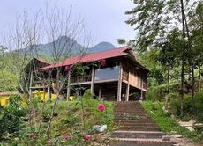 DCD FARMSTAY