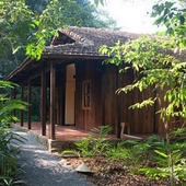 Forest Floor Lodge