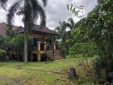 Green Happy Homestay 