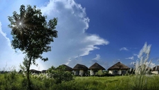 Barahi Jungle Lodge