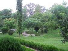 Bardia Forest Resort