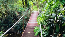 Ceylon Nature Hostel Kitulgala