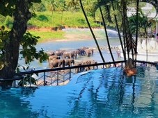 Hotel Elephant Park